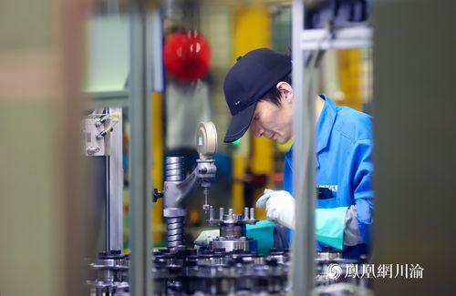 長江軸承 以技術硬實力撬動全球市場縫隙，打造國際化品牌新標桿